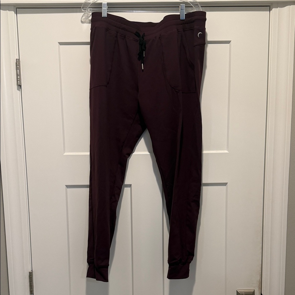 Zyia Active Plum Jogger Pants